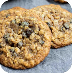 oatmeal craisin cookies thumb