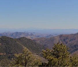 Nature: Gila Mountains