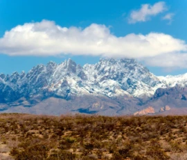Nature: Snow on Organ Mountains
